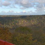 dsc_2849 dsc_2849